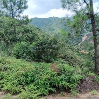 2礦同出！260萬方/年！廣東砂石大礦掛牌出讓
